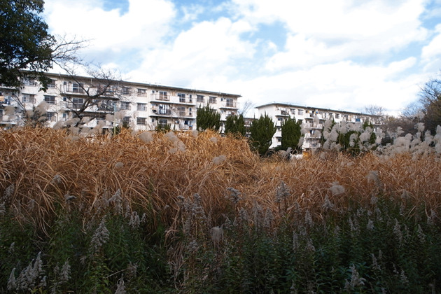 「カマボコ」と呼ばれる階段室型の住棟。60-70年代団地の最もスタンダードな外観だ。